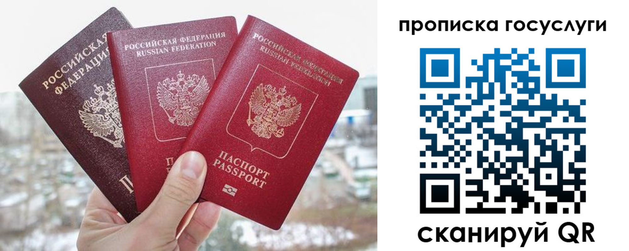 прописка законно в Смоленске